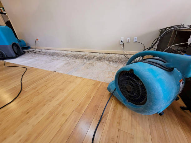 Professional Water Damage Repair technician working in Carrollton, AL